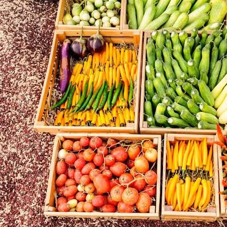 Diverse, nutrient-rich crops linking agriculture, markets and food systems.