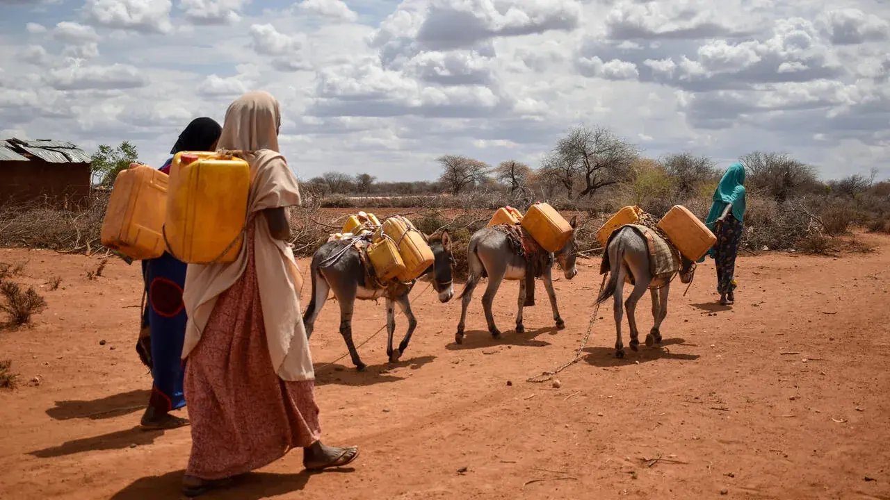 Mobility, livelihoods and resilience in dryland environments.