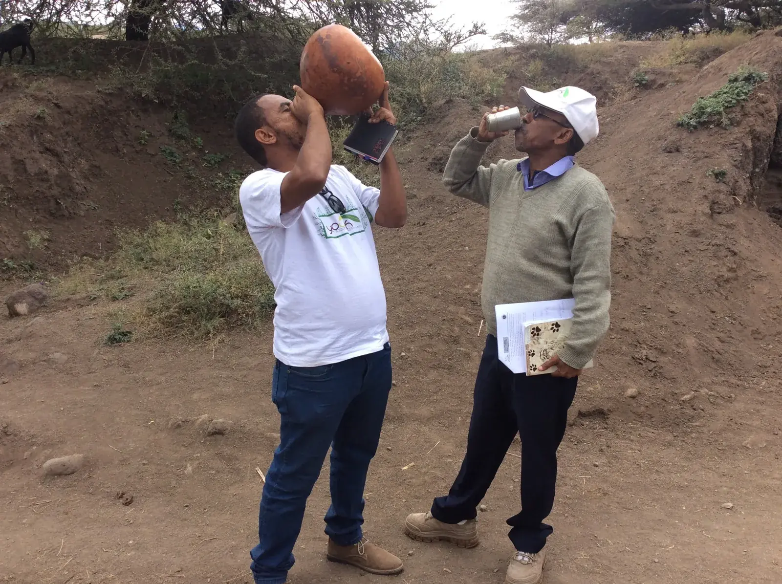 Field-based observation and community engagement in practice.