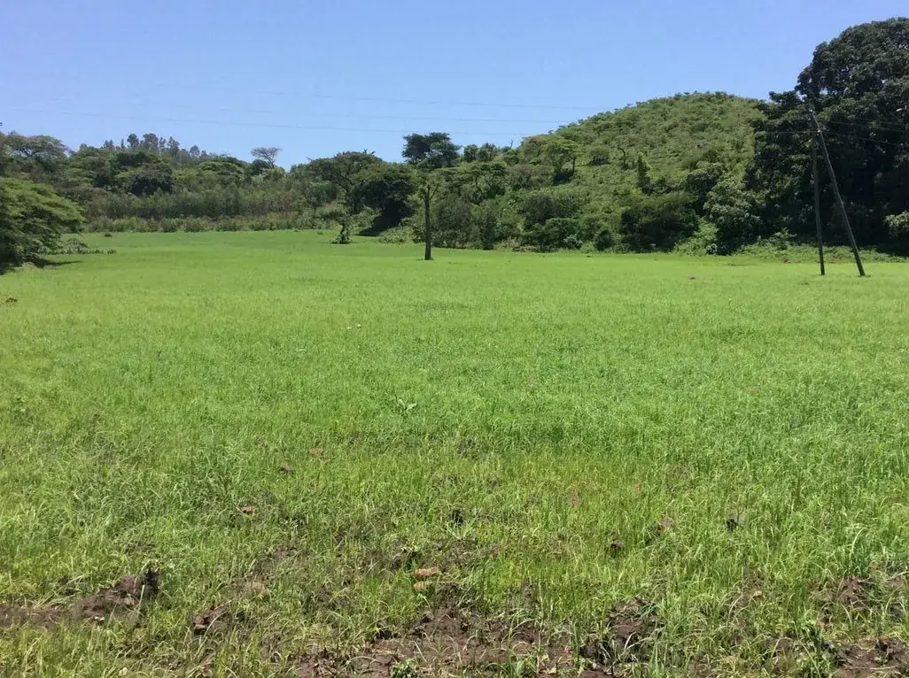 Productive agricultural landscapes supporting local livelihoods.
