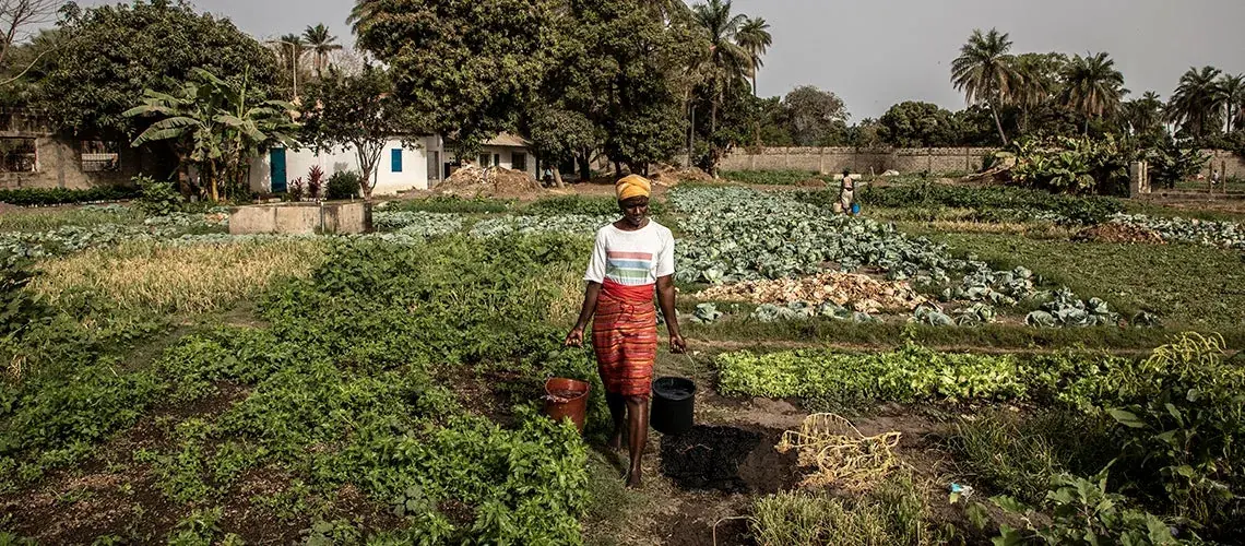 Rural employment and enterprise opportunities in agricultural production.