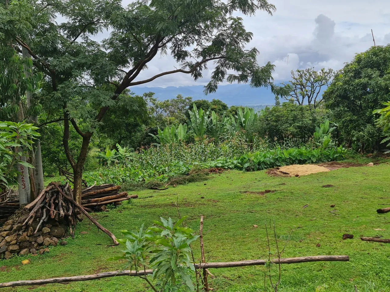 Agricultural field and rural livelihoods context