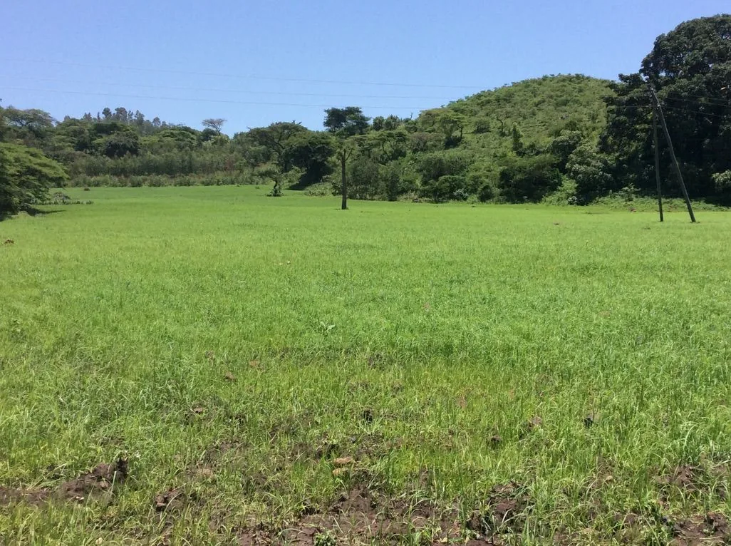 Research fieldwork and rural development engagement