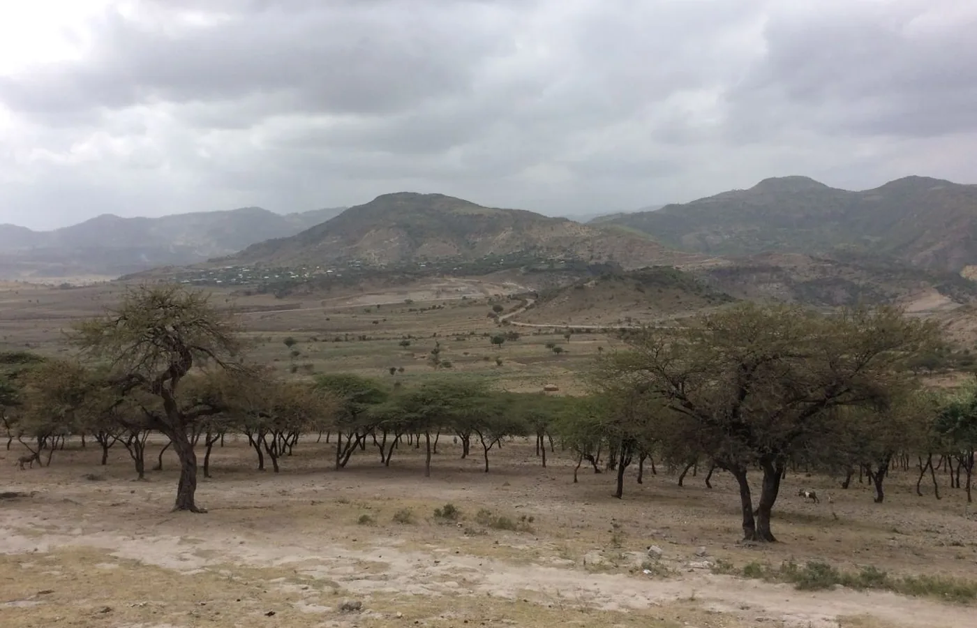 Dryland and resilience context