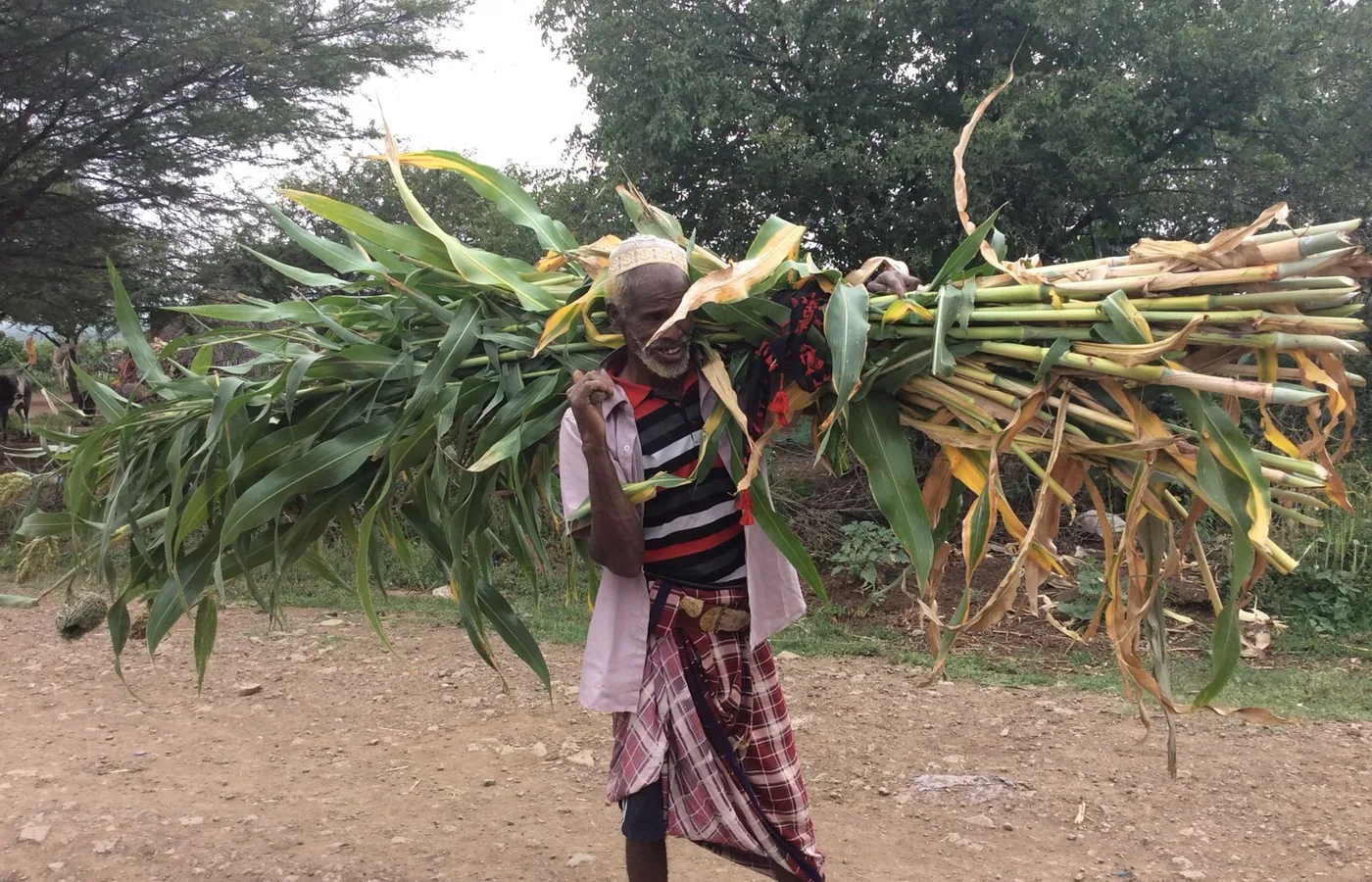 Farmer carrying produce